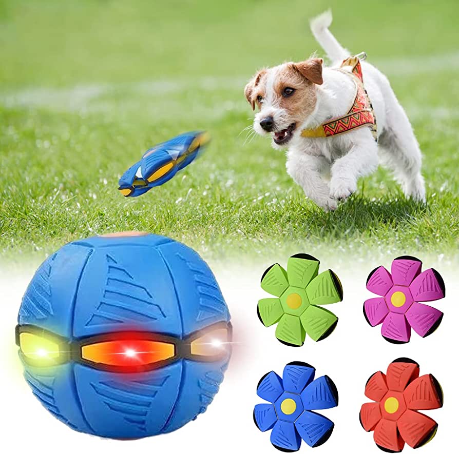 Pets4Me™ Dog Frisbee
