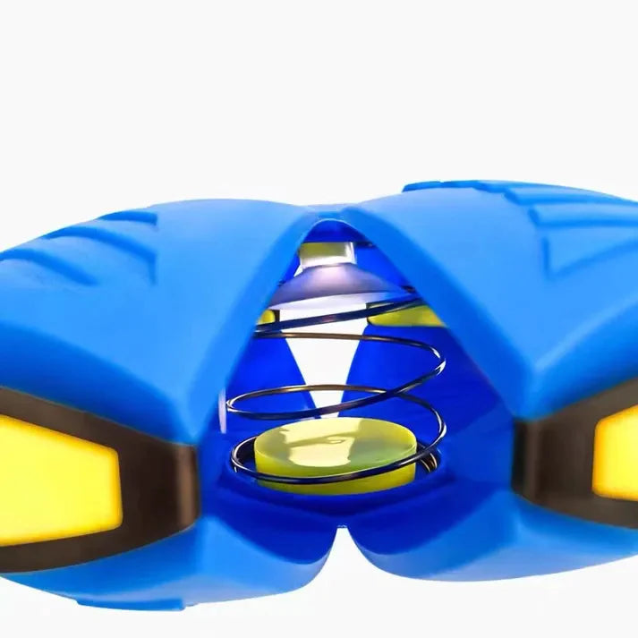 Pets4Me™ Dog Frisbee