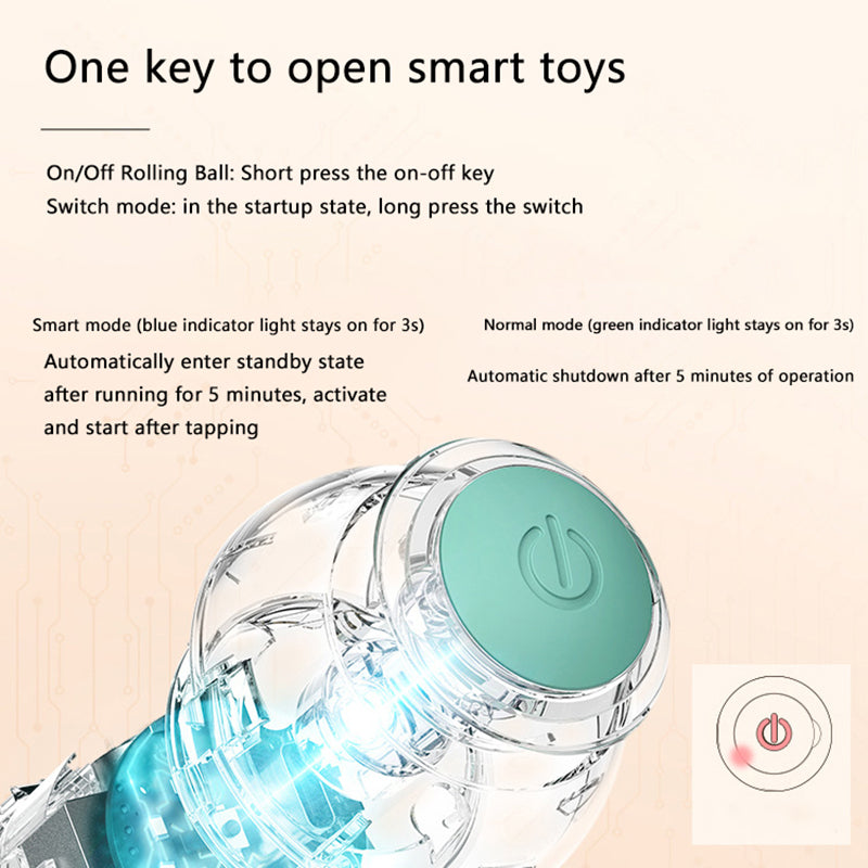 Pets4Me™ Interactive Ball