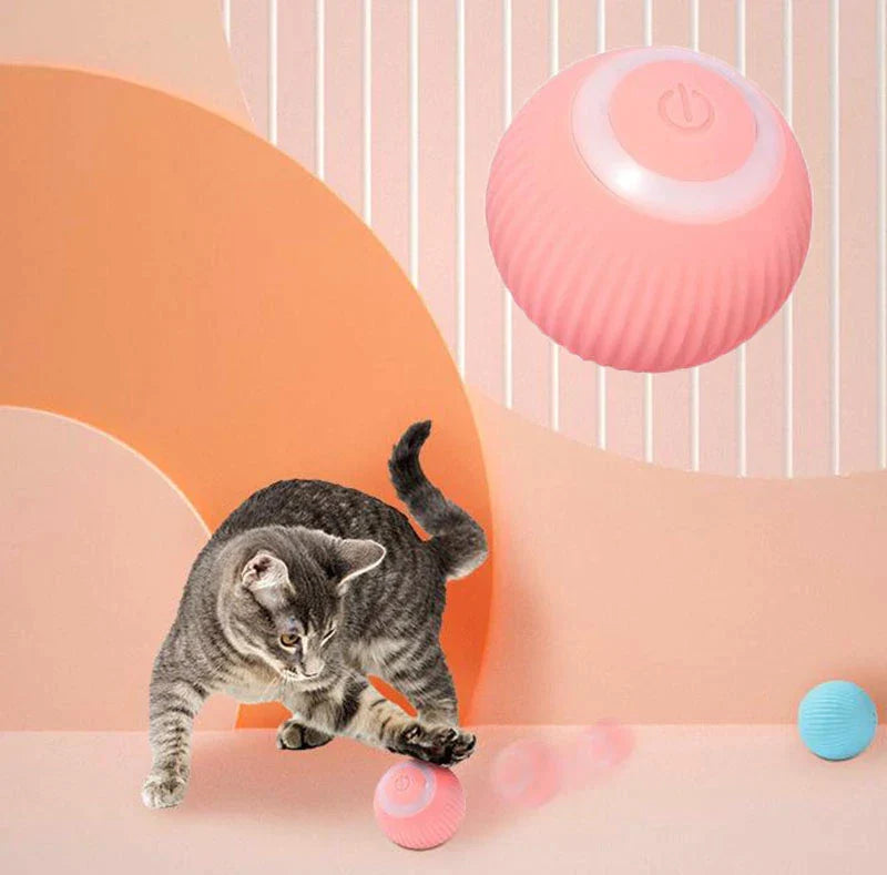 Pets4Me™ Interactive Ball