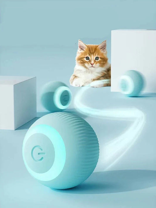 Pets4Me™ Interactive Ball