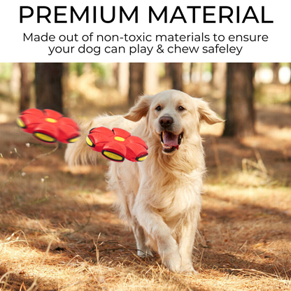 Pets4Me™ Dog Frisbee