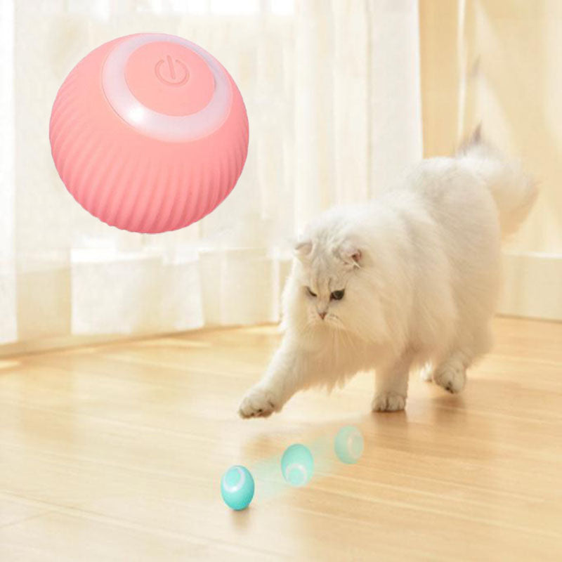 Pets4Me™ Interactive Ball