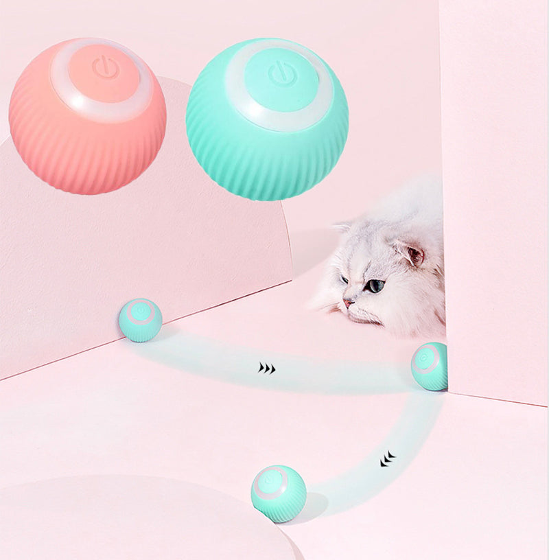 Pets4Me™ Interactive Ball